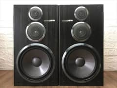 Pioneer 10" private 100 watt each box