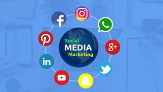 Scical Media Marketing