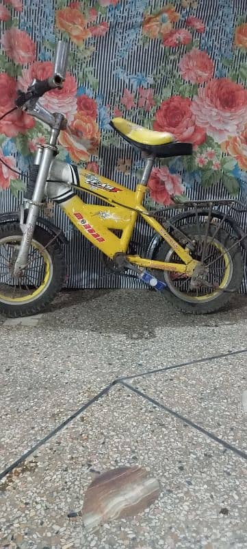 children's bicycle 1