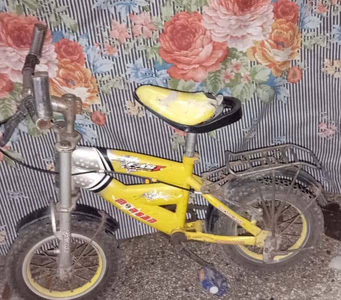 children's bicycle 2