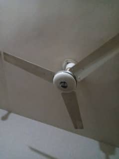 2 ceiling fans available for sale working comdition