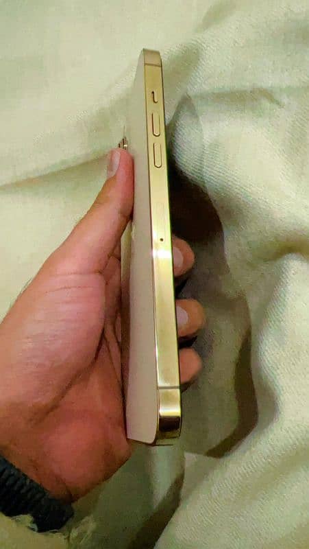 iPhone 12 Pro Max Golden 94 BH 3