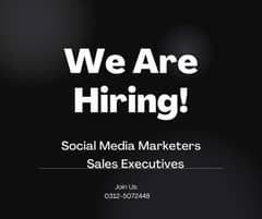 Sales Executive