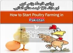 Start Poultry Farming Business | Farm Chick Chicken Broiler Layer Hens