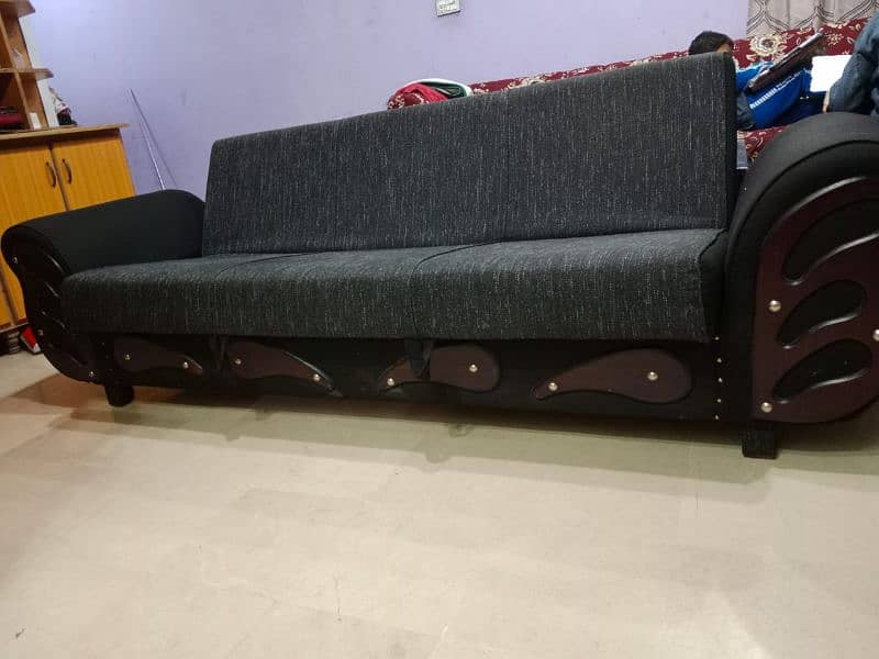 Molty foam Sofa cum bed 3