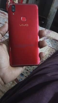 vivo