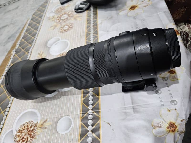 canon 150-600mm 1:5-6.3 DG Sigma 95 1