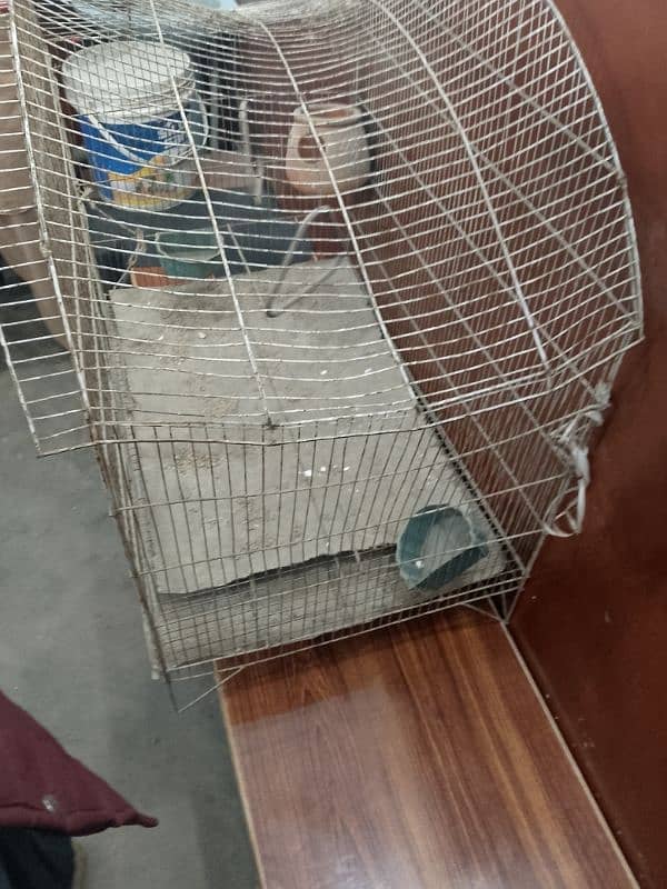 birds cage for sale 5