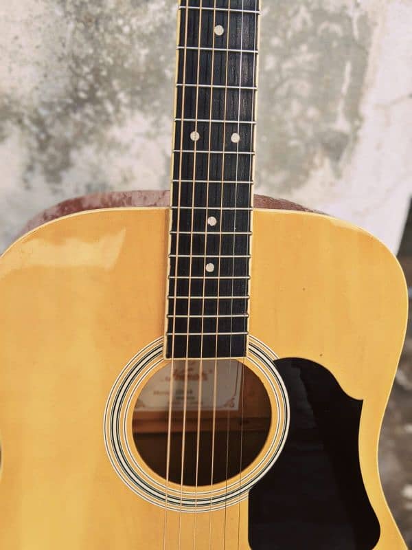 kapok original imported guitar 4