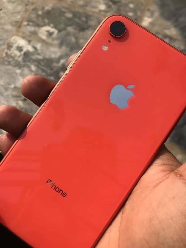 Iphone XR Lush 0