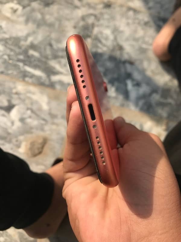 Iphone XR Lush 4