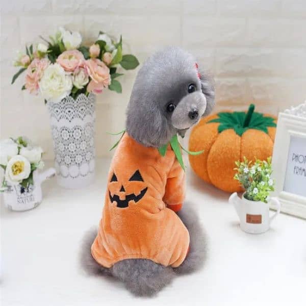 cat and small breed dog pumpkin costumes 4