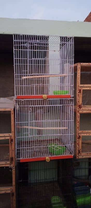 Cages are for sale 4