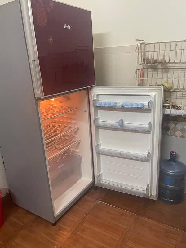 Haier Refrigerator double door 4