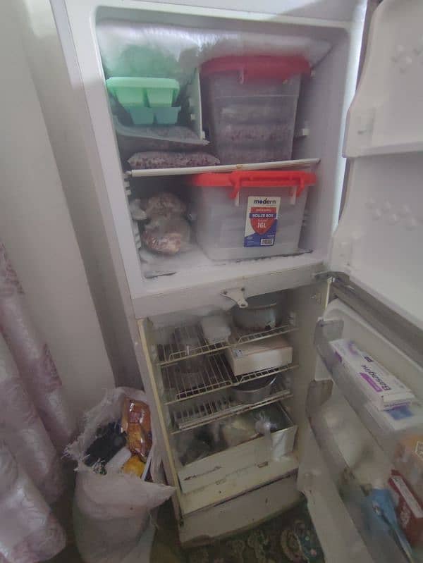 Pel Refrigerator 1