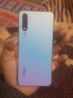 vivo