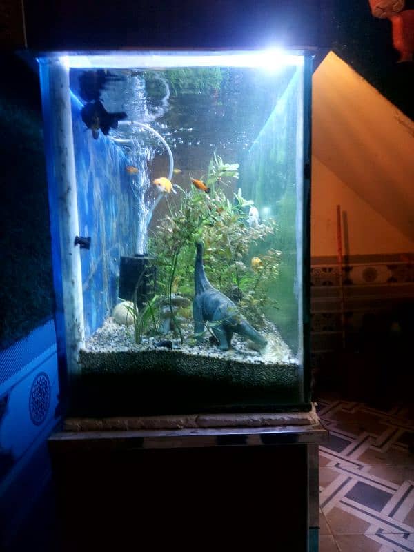 4ft fully plantes tank 1