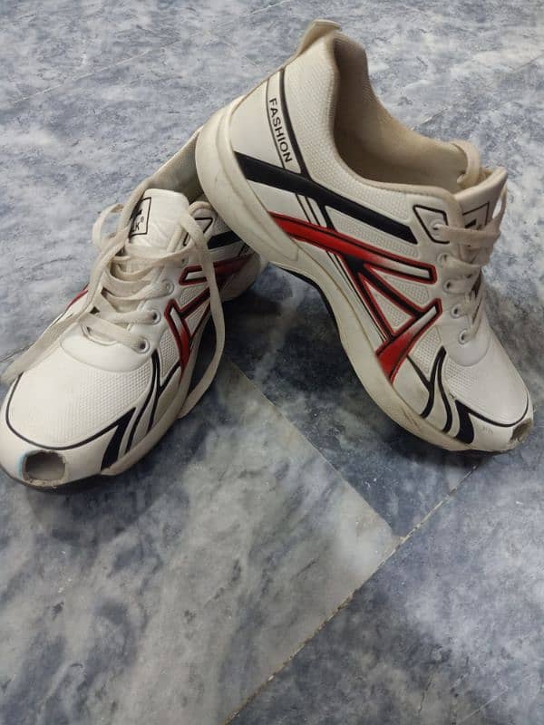 1 pair of Cricket shoes slightly used 1