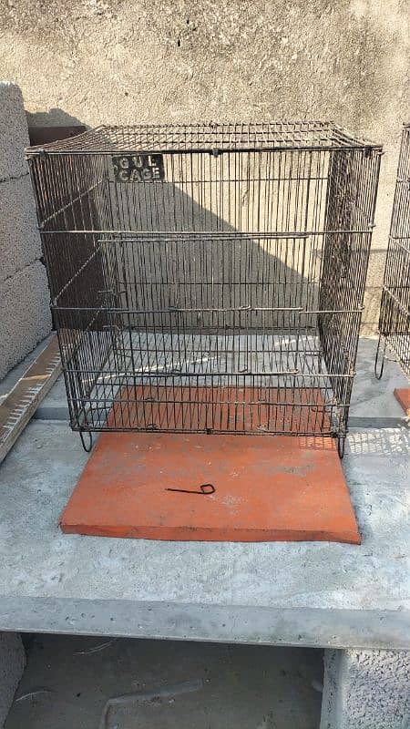 birds and chick cages and heera chick available 1