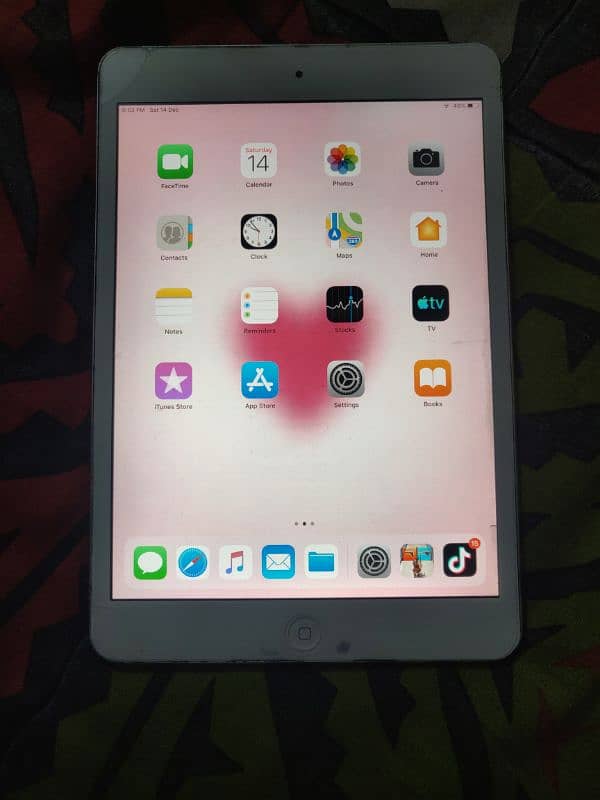 iPad mini 2 0