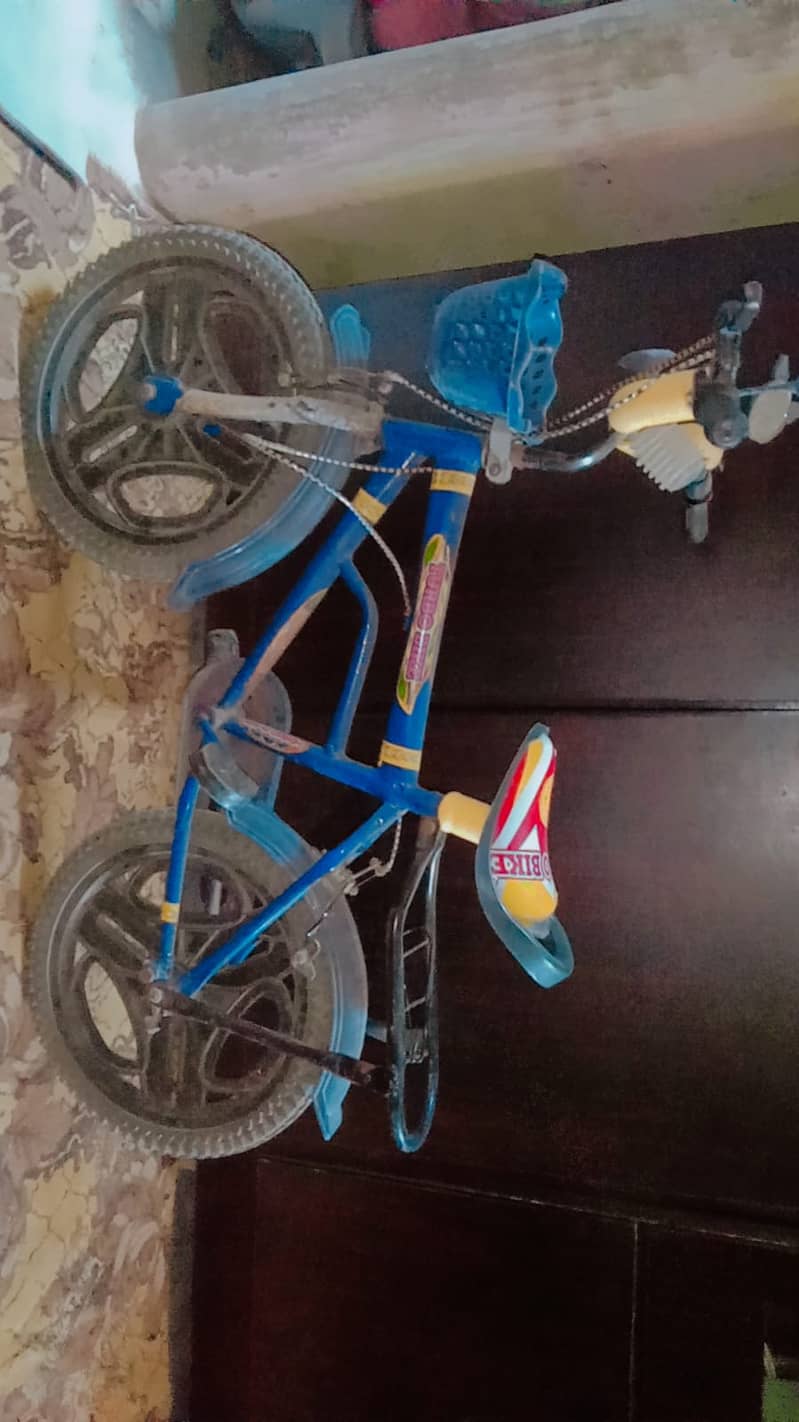 Kid bicycle 0