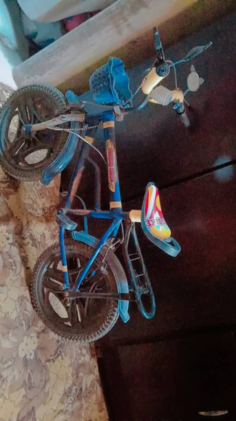 Kid bicycle 2