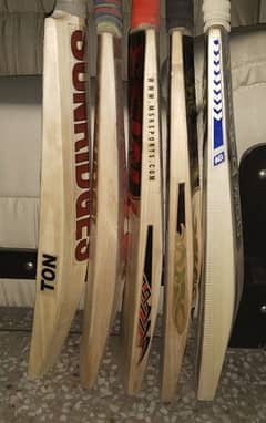 CRICKET BATS