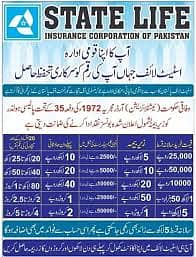 State Life Insurance: Your Family's Future, Our Priority! 5