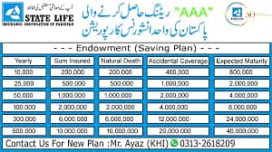 State Life Insurance: Your Family's Future, Our Priority! 8