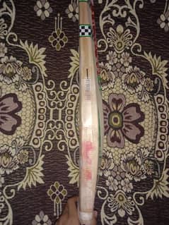 cricket bat