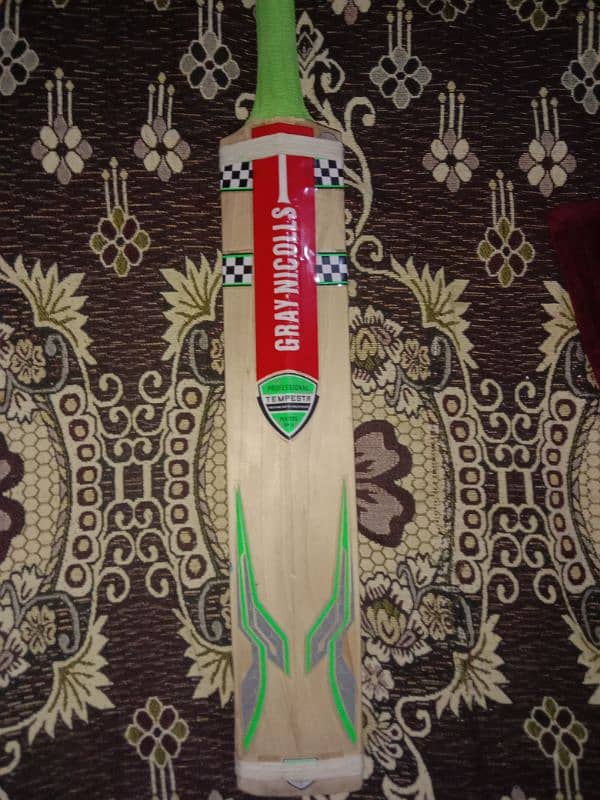 cricket bat 1