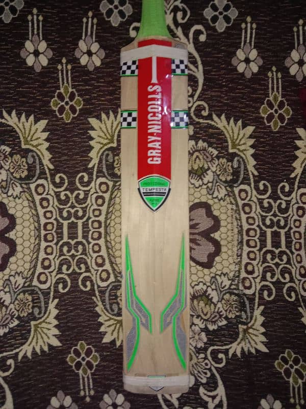 cricket bat 2