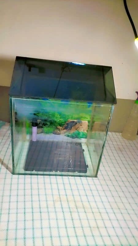 small fish aquarium with two gold fishes,water pump and blue led light 8