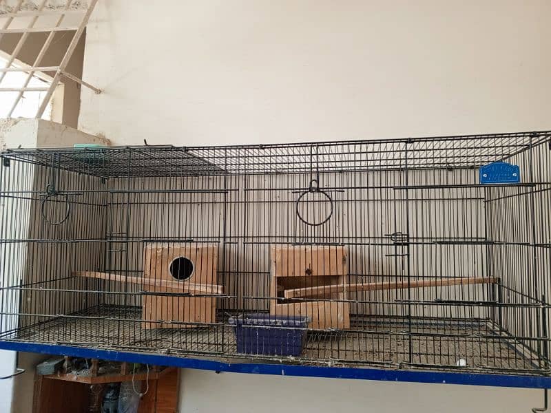 Cage for parrot. 0