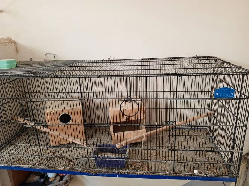 Cage for parrot. 1