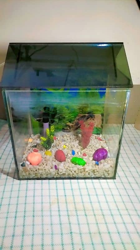 small fish aquarium with two gold fishes,water pump and blue led light 13