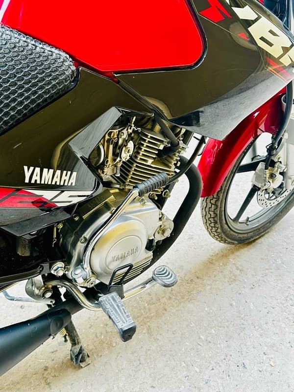 Yamaha YBR-125 5