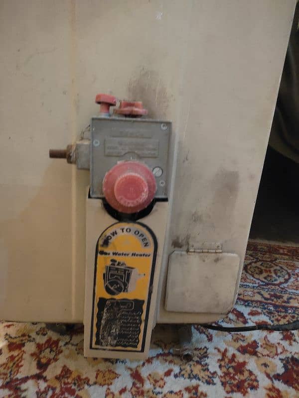 brother companygeyser good condition 1