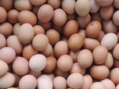 Desi/Golden Eggs for sale.