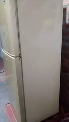 fridge