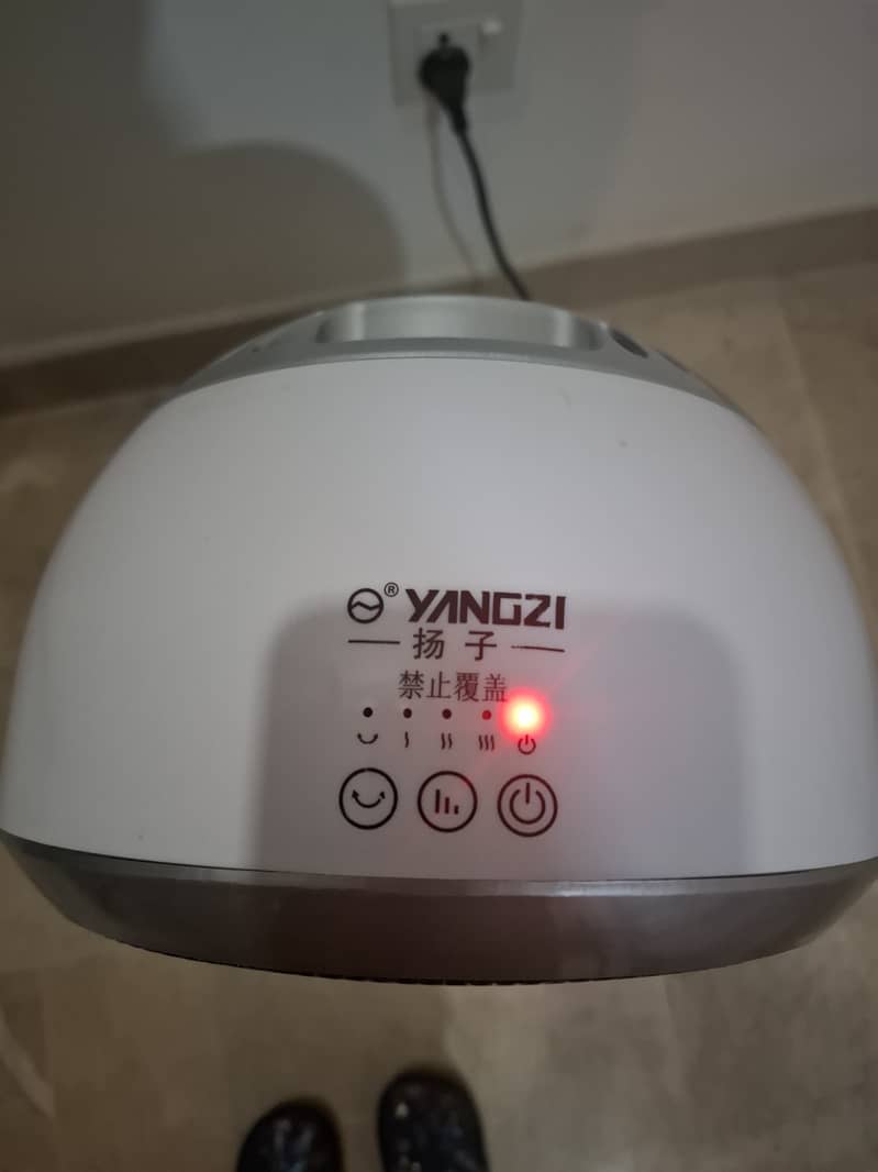 Electric Fan Heater For Sale 1