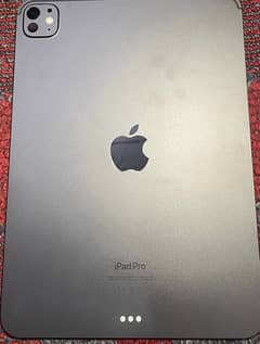 11-inch WiFi iPad Pro 256GB