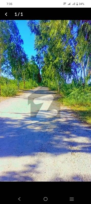 5 Marla plot for sale Chakri Road gulshan e Kashmir 0