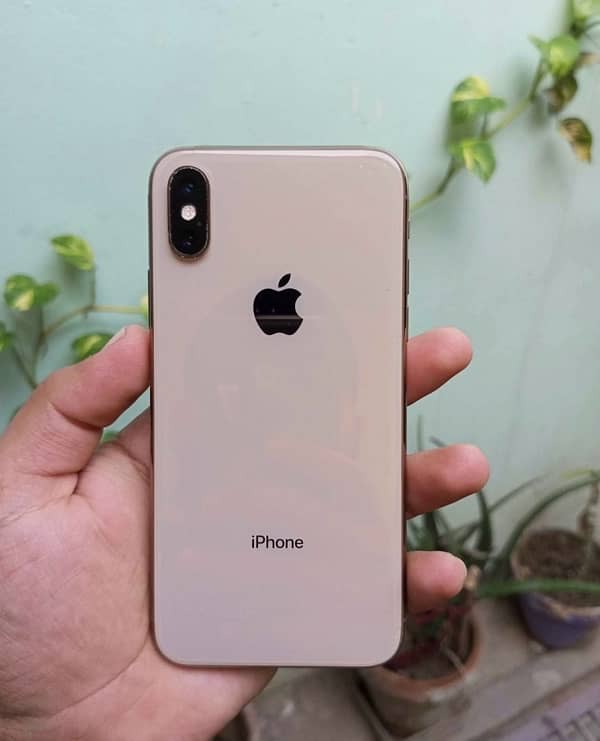 iPhone XS 256Gb non pta 0