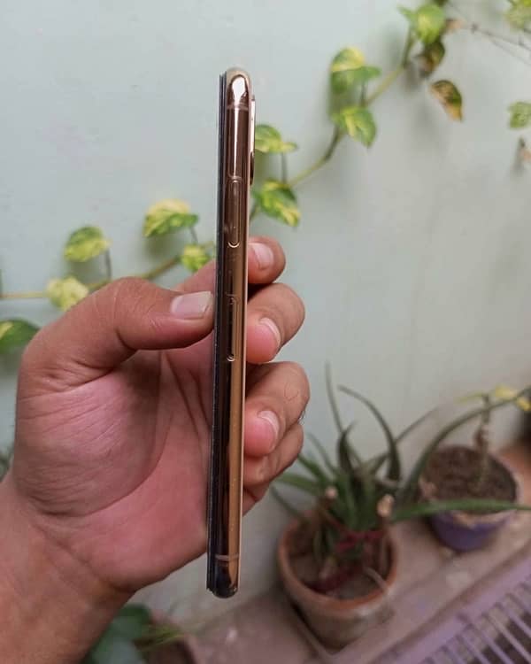 iPhone XS 256Gb non pta 2