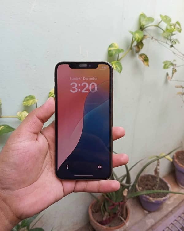 iPhone XS 256Gb non pta 5