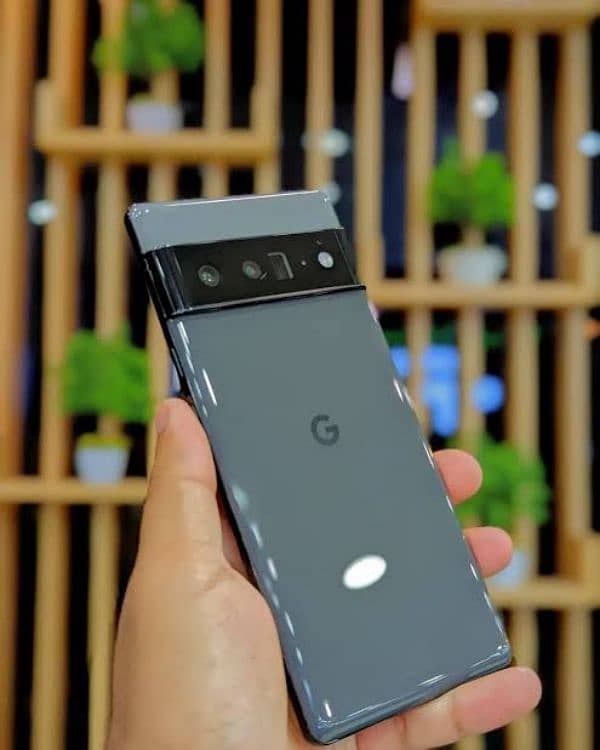 Google 6 pro Non PTA 2