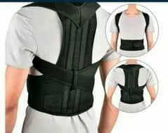 Back support belt