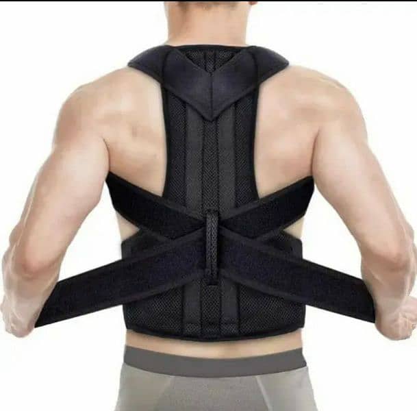 Back support belt 1