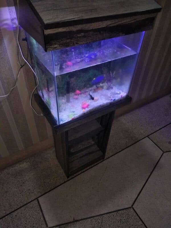 fish aquarium with 4 fishes oxygen pump lights 3